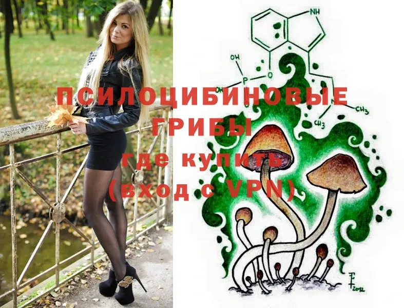 кракен ссылки  Миллерово  Псилоцибиновые грибы Psilocybe 